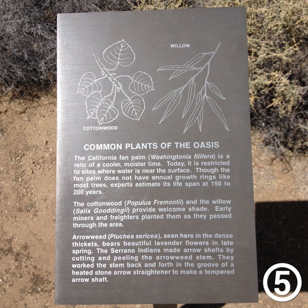 Oasis of Mara hike photo #5