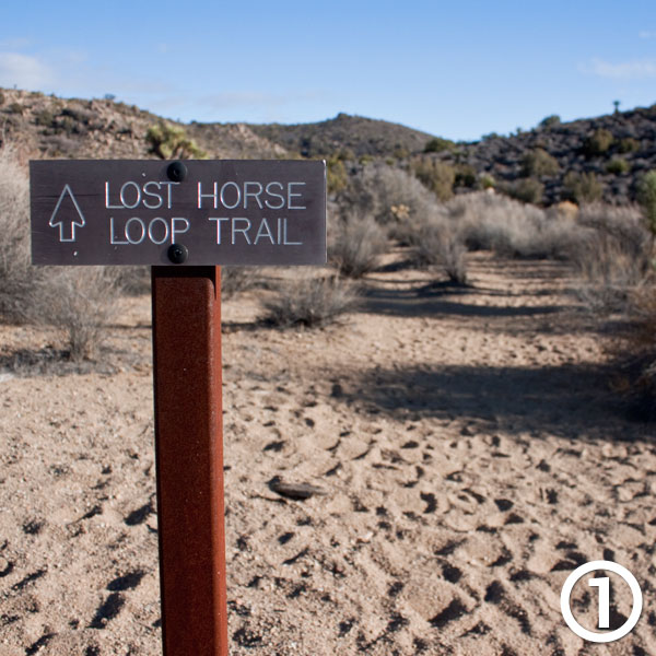 Lost Horse Mine hike photo #1