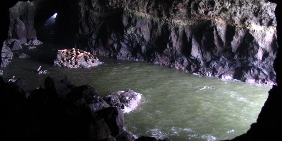 Sea Lion Cave